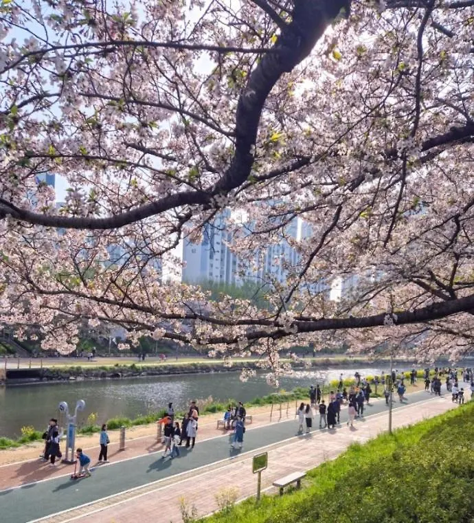 Willa Torry House Pusan 0*,